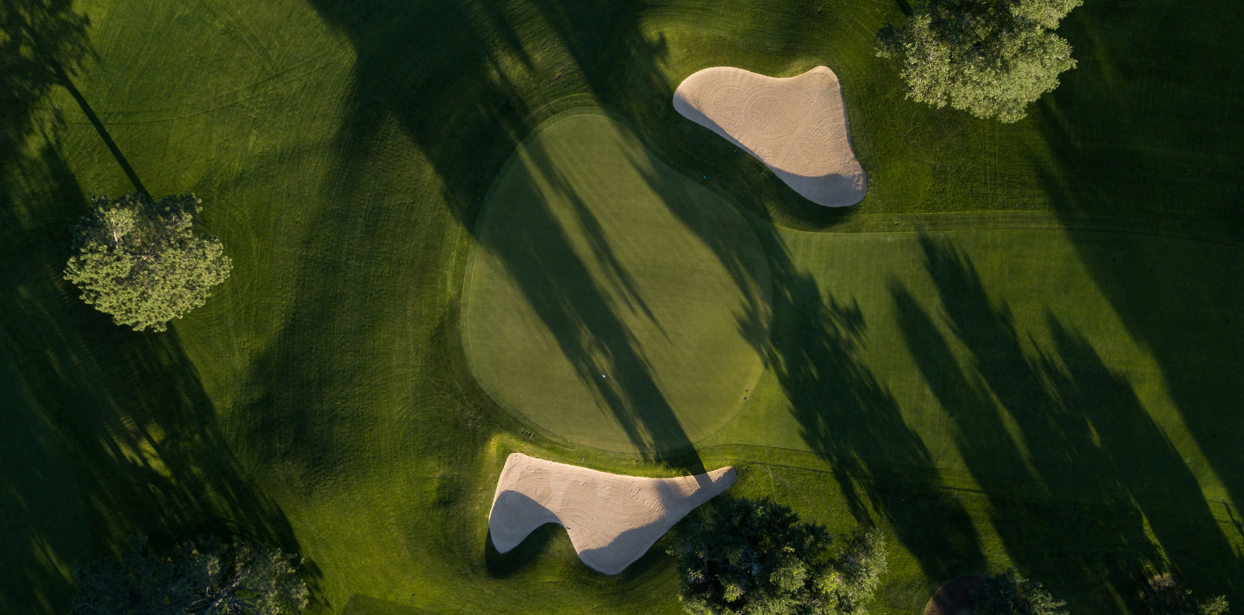 Golf course in the early morning.