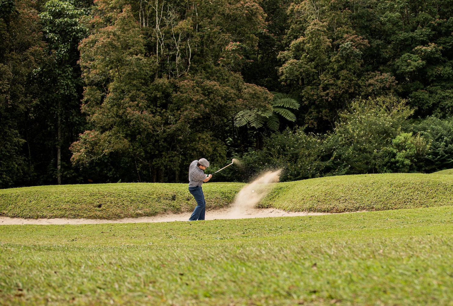 Golf course green managed with TurfEnhancer.